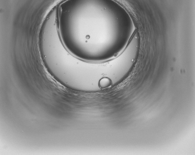 X0000060240950200511111926