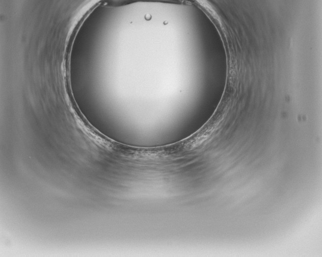 X0000060240951200511111926