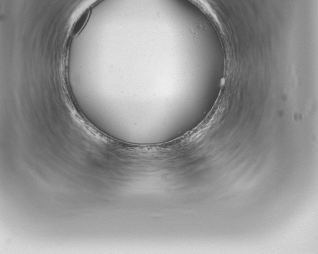 X0000060240952200511111926