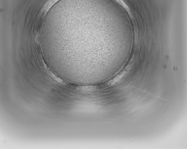 X0000060240953200511111926