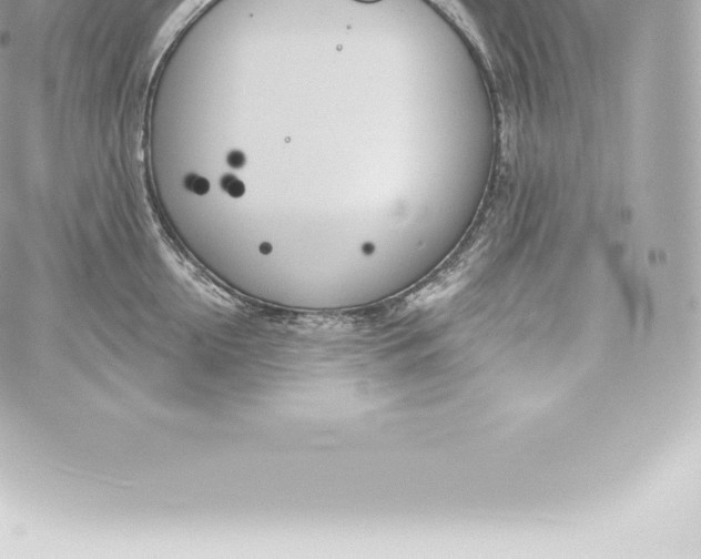 X0000060240954200511111926