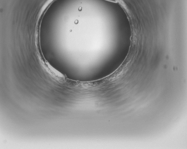 X0000060240955200511111926