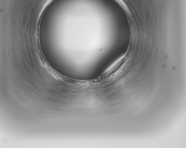 X0000060240956200511111926