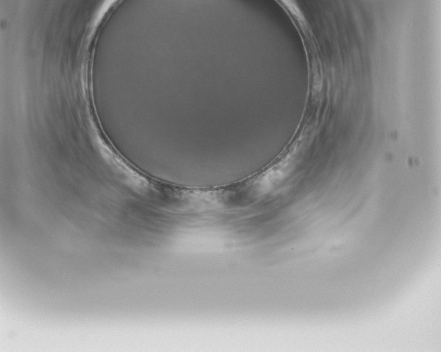 X0000060240958200511111926