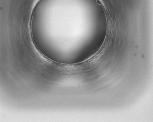 X0000060240959200511111926