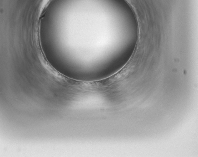 X0000060240960200511111926