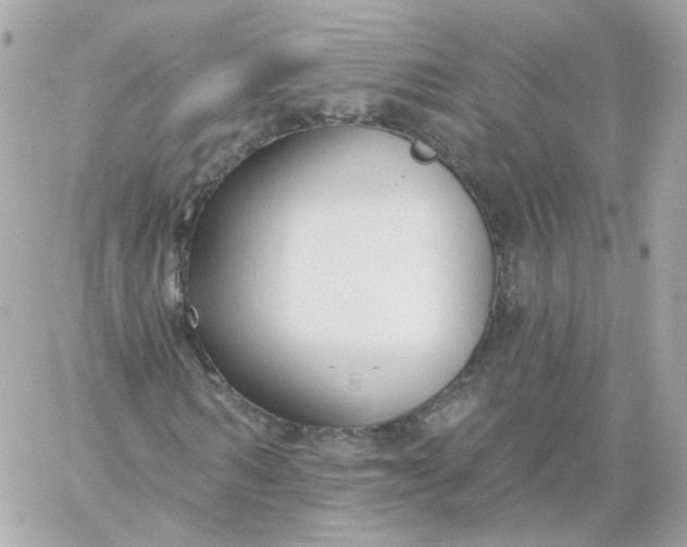 X0000060240962200511111925