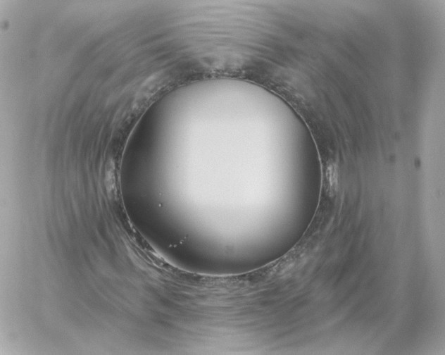 X0000060240963200511111925