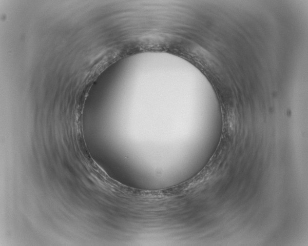 X0000060240964200511111925