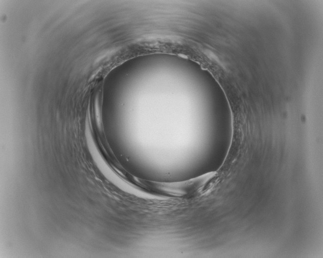 X0000060240965200511111925