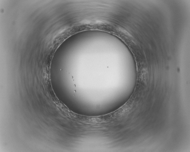 X0000060240966200511111925