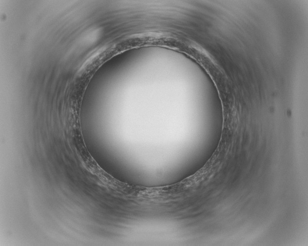 X0000060240967200511111925