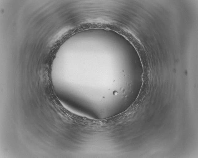 X0000060240968200511111925