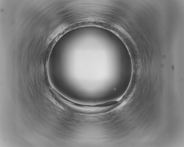 X0000060240969200511111925