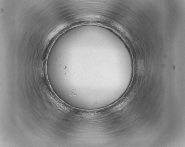 X0000060240970200511111925