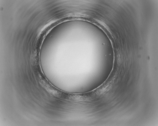 X0000060240971200511111925