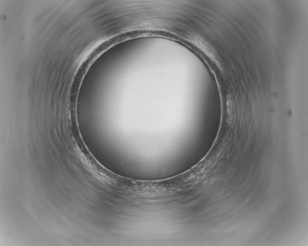 X0000060240972200511111925