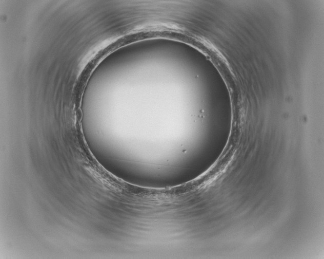 X0000060240973200511111925