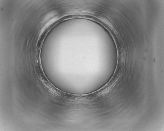 X0000060240974200511111925