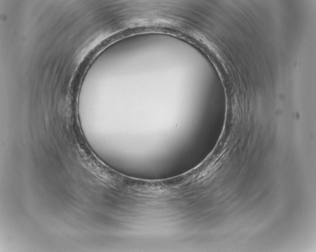 X0000060240975200511111925