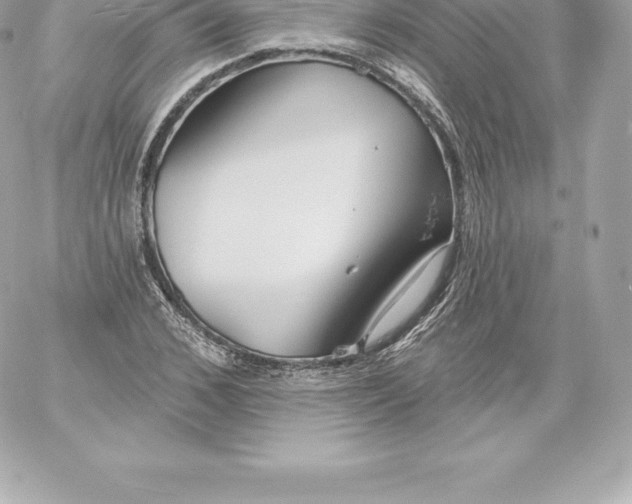 X0000060240976200511111925