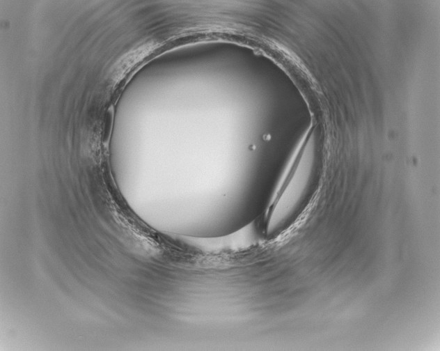 X0000060240977200511111925