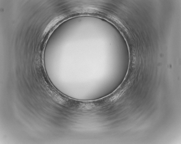 X0000060240978200511111925