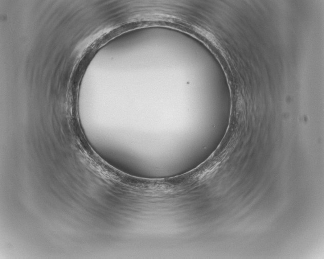 X0000060240979200511111925