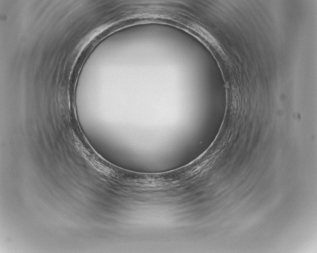 X0000060240980200511111925