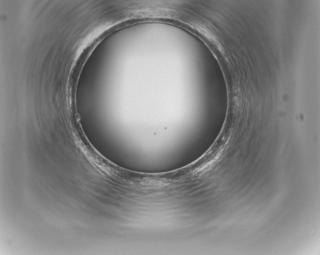 X0000060240981200511111925