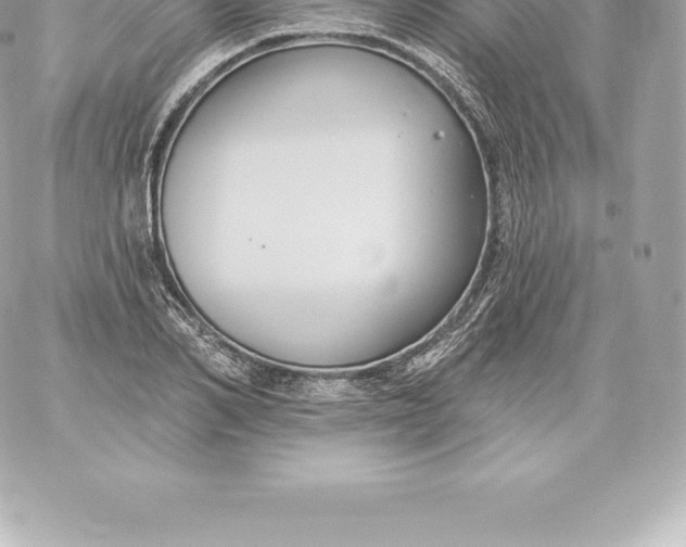 X0000060240982200511111925