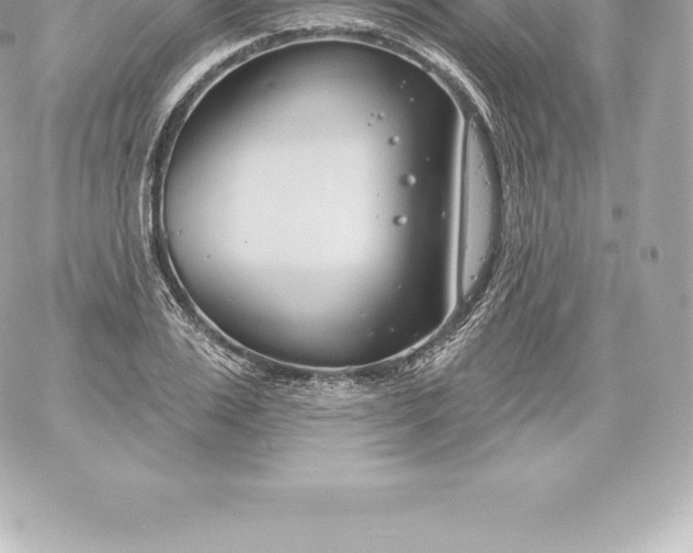 X0000060240983200511111925