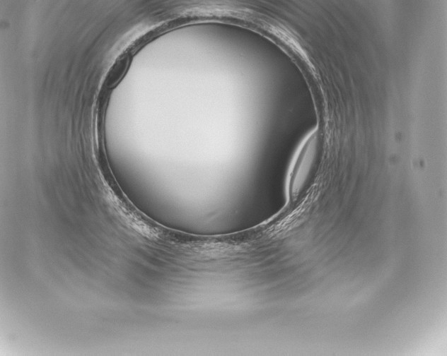 X0000060240984200511111925