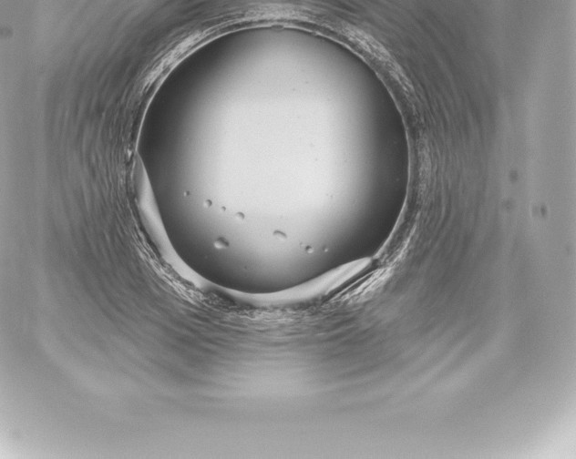 X0000060240985200511111925