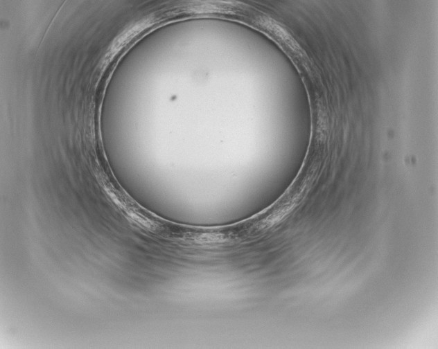 X0000060240986200511111925