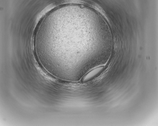 X0000060240987200511111925