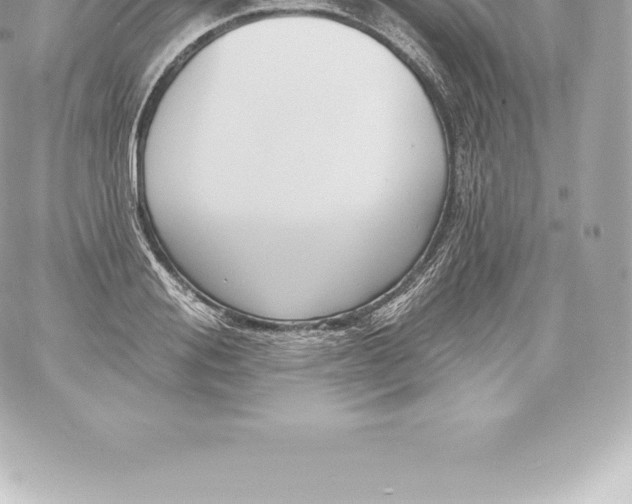 X0000060240988200511111925