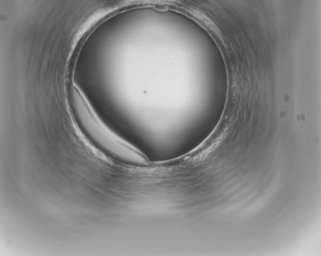 X0000060240989200511111925