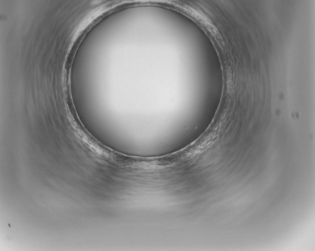 X0000060240990200511111925