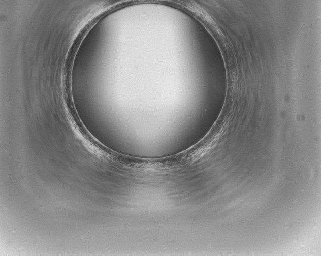 X0000060240991200511111925