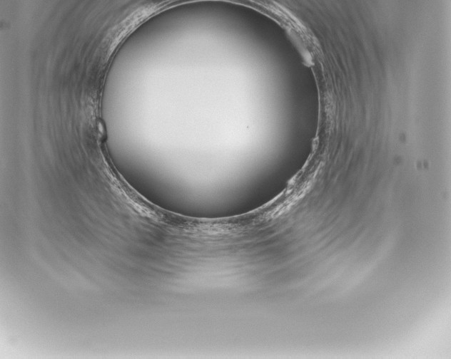 X0000060240993200511111925