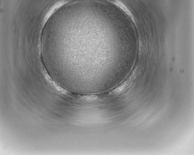 X0000060240994200511111925