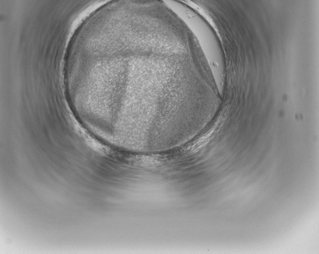 X0000060240995200511111925