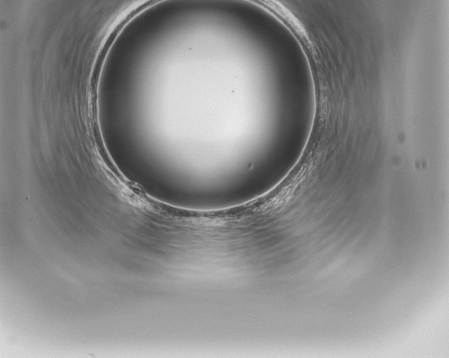 X0000060240996200511111925