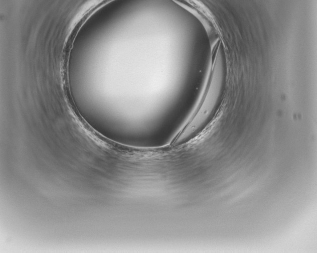 X0000060240997200511111925