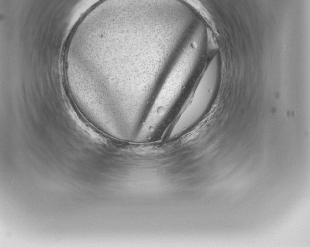 X0000060240998200511111925