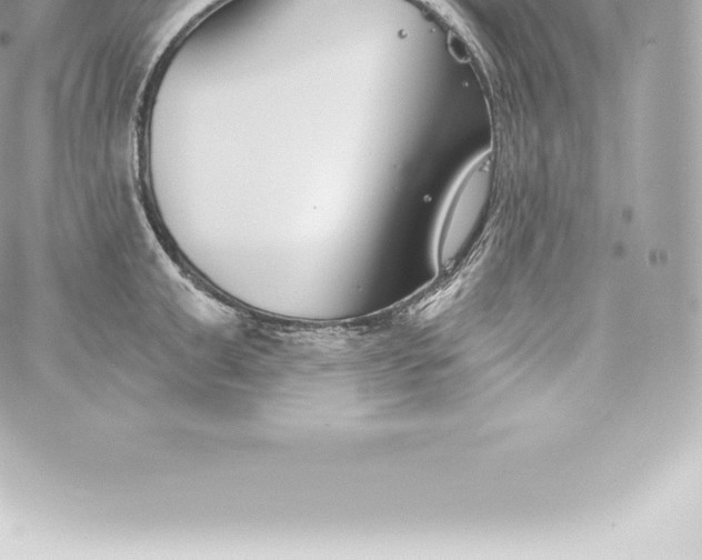 X0000060240999200511111925