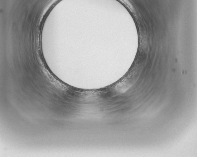 X0000060241000200511111925