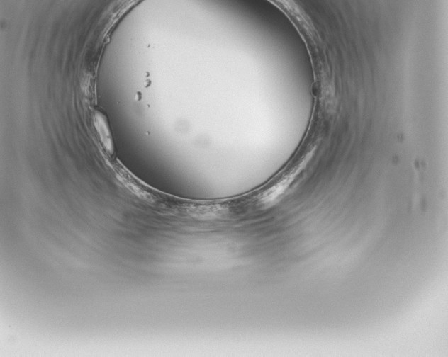 X0000060241001200511111925