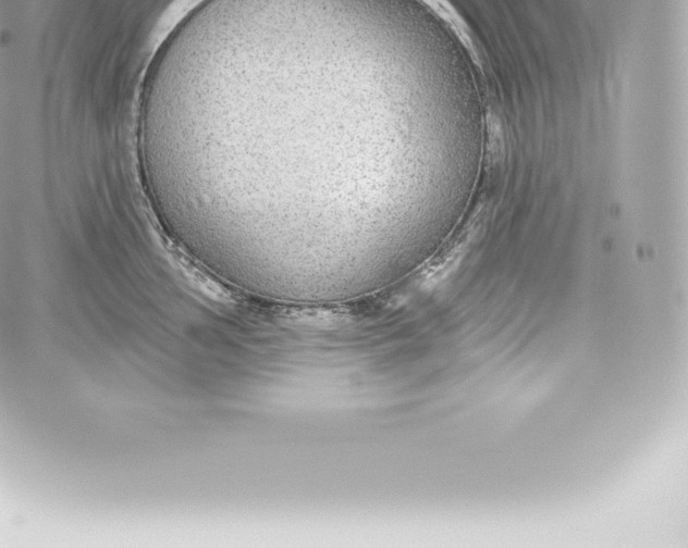 X0000060241002200511111925